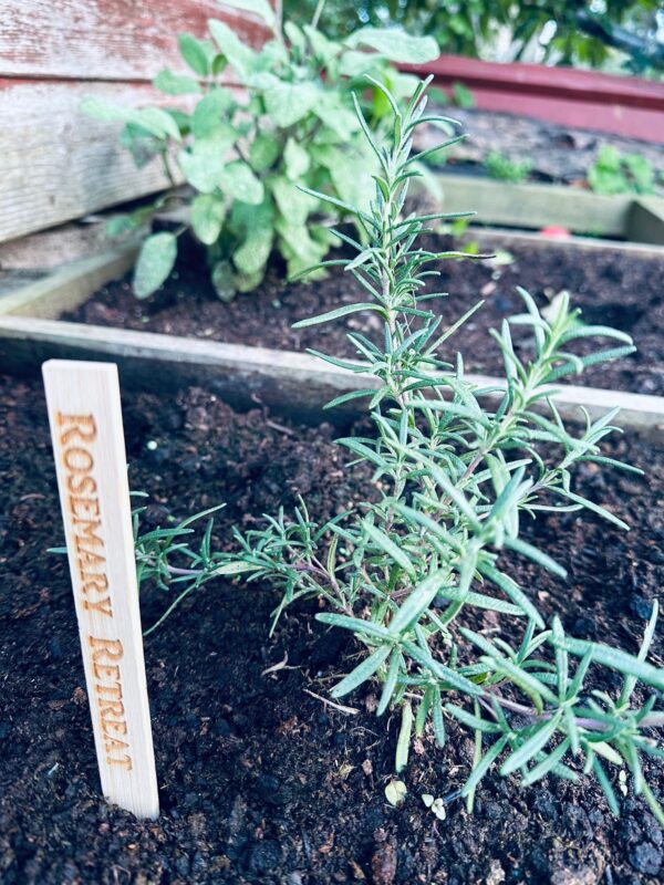 Rosemary Retreat Bamboo Stick